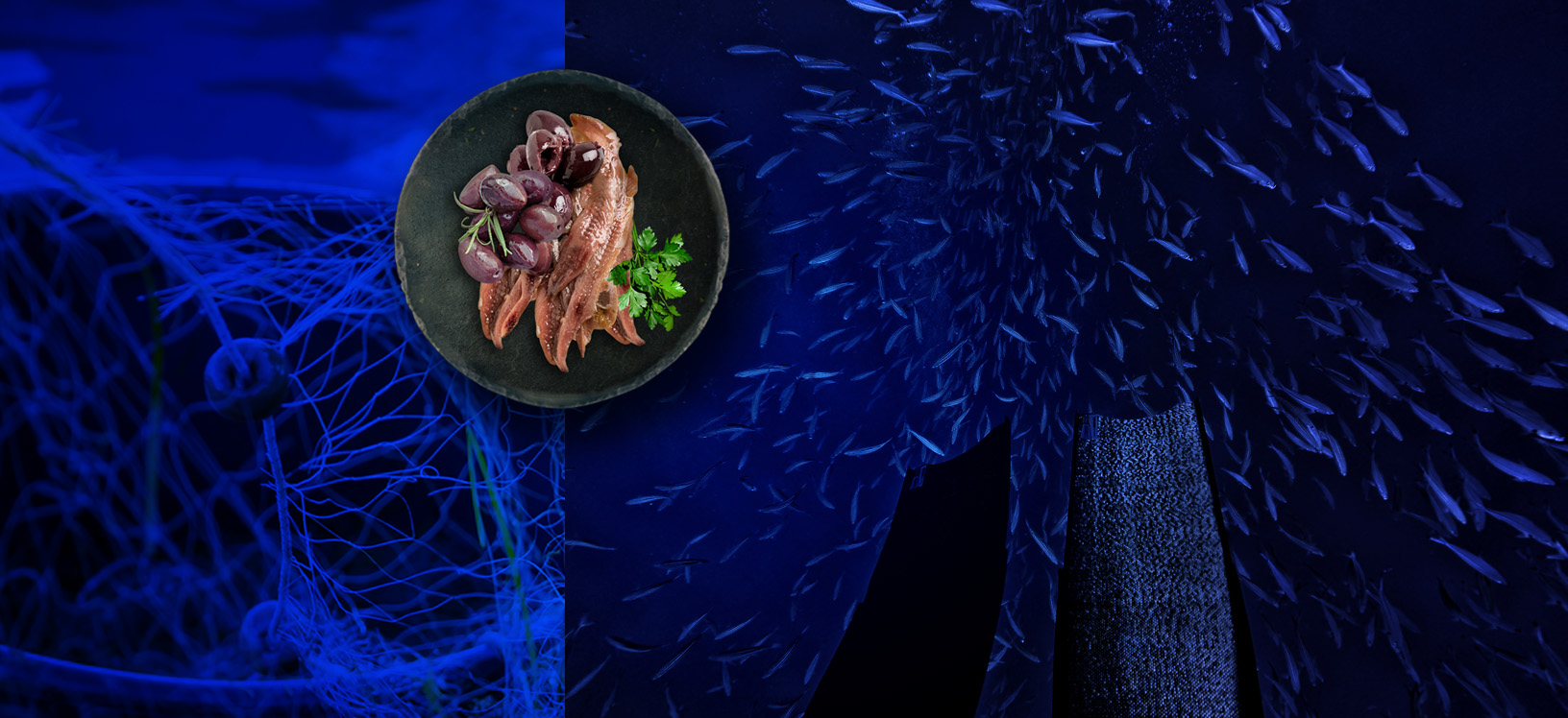 ALICI 2B sardine pollastrini