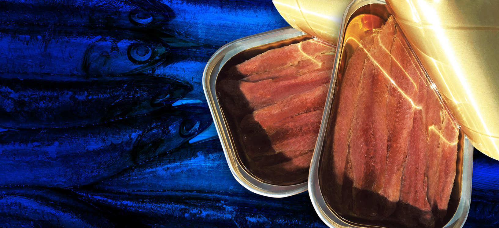ALICI SACATOLA 4 sardine pollastrini