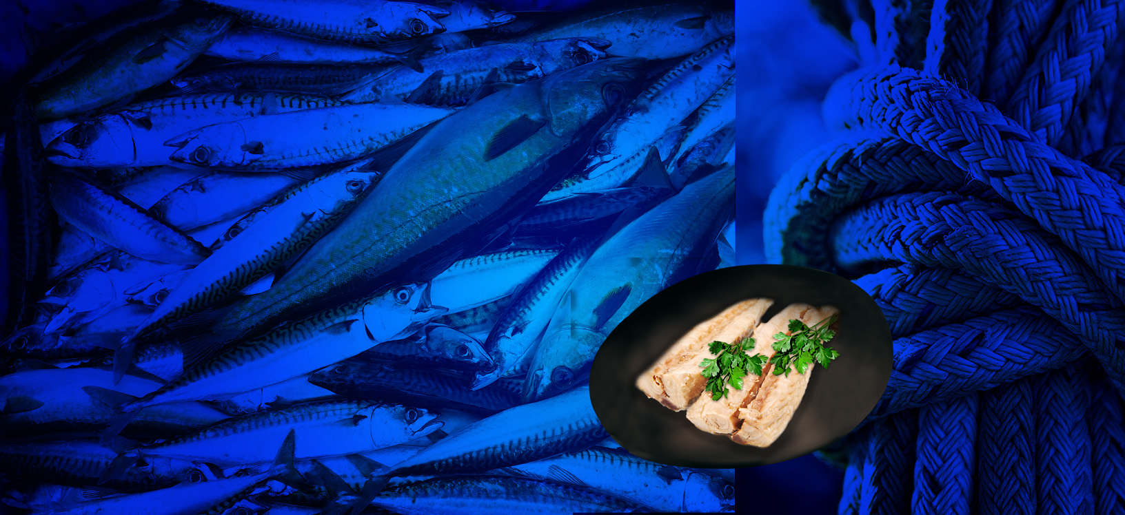 SGOMBRO B sardine pollastrini