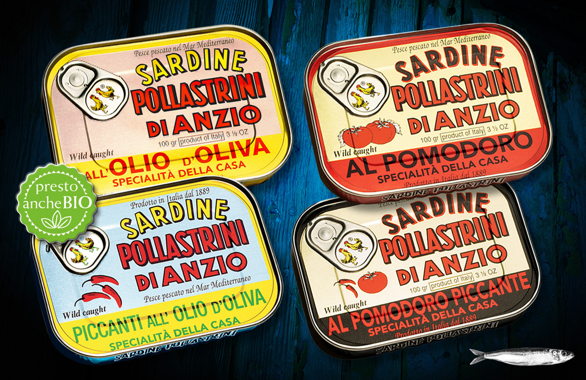 Sardine home bio